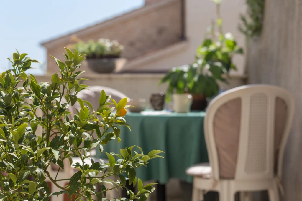Terasa s vrtnim stolom okružena mediteranskim biljem, apartman Arca Strožanac