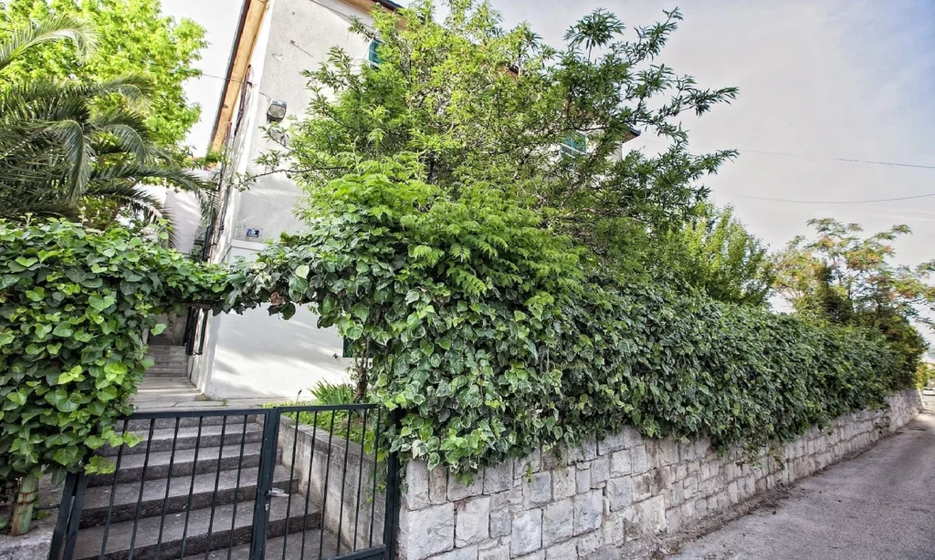 Ulaz u zgradu sa stubištem i kamenim zidom, apartman Batchae Split