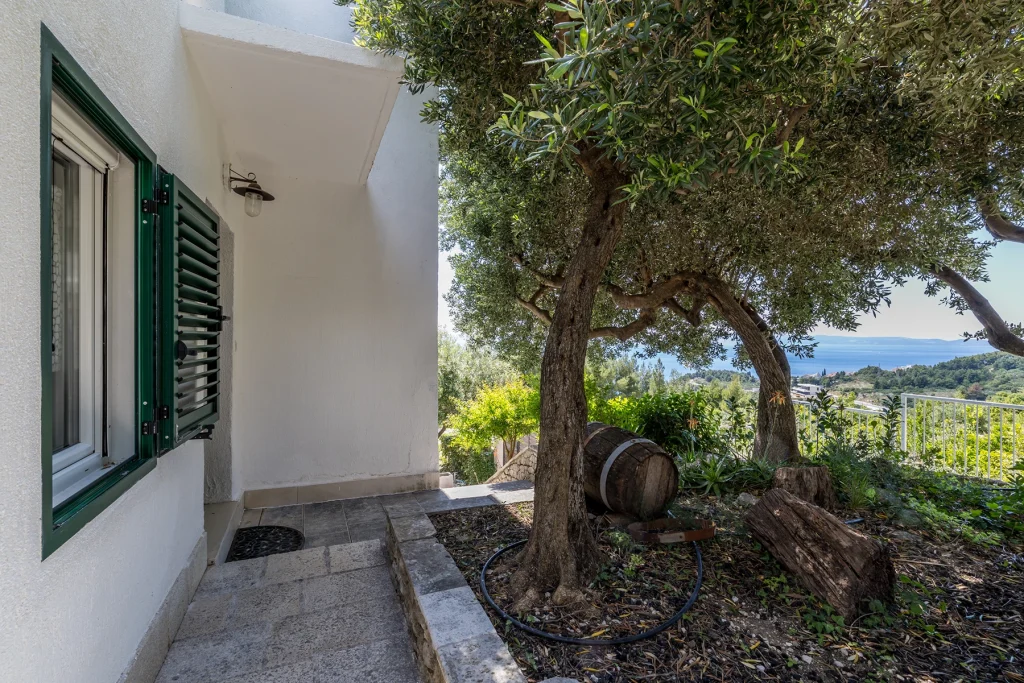 Kamena kuća za odmor Domus Alta s maslinom, Podgora