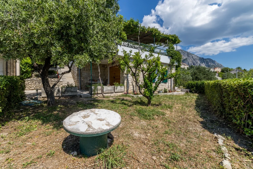 Vrt s maslinom i zelenilom oko kuće, Domus Alta Podgora