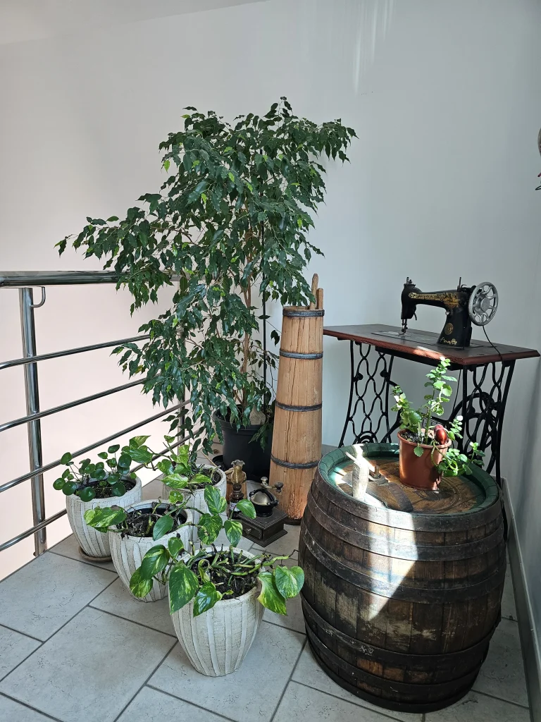 Terasa s biljem i vintage detaljima, apartman Luna Mare Čiovo